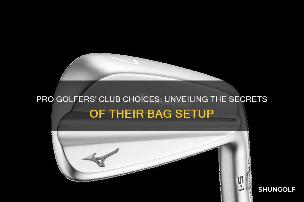 what golf clubs do professionals use