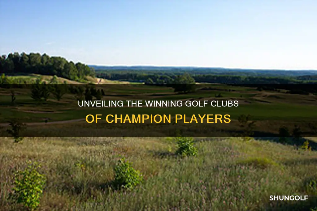what golf clubs do the champions use