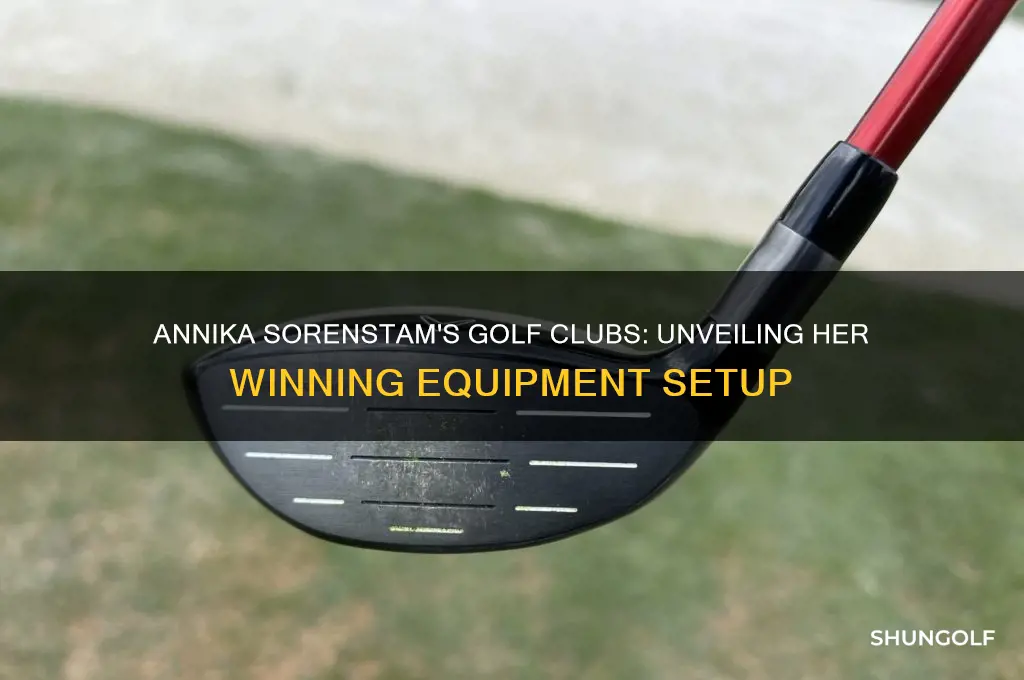 what golf clubs does annika sorenstam use