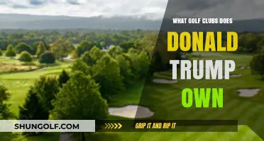 Exploring Donald Trump's Golf Empire: Clubs, Courses, and Ownership