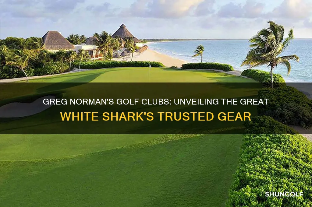 what golf clubs does greg norman use