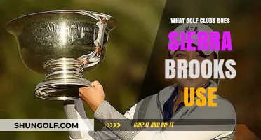 Sierra Brooks' Golf Clubs: Unveiling Her Winning Equipment Setup