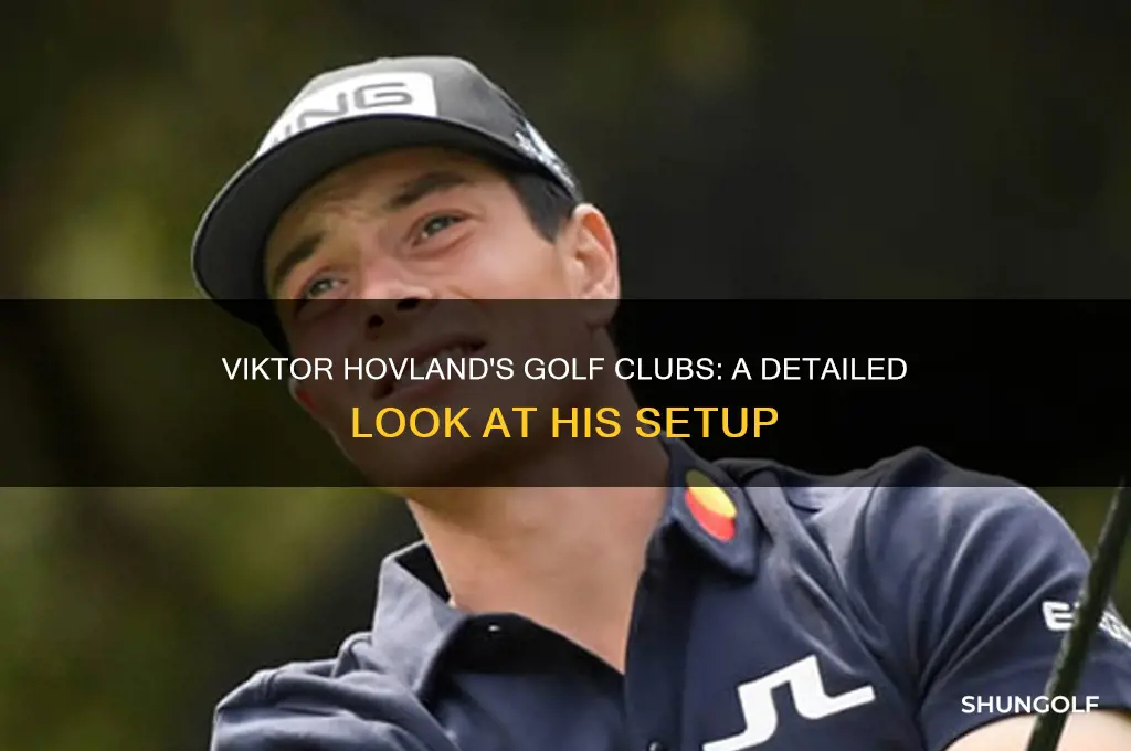 what golf clubs does viktor hovland use