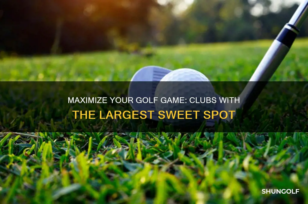 what golf clubs have the biggest sweet spot