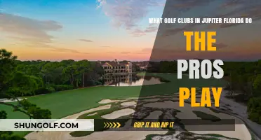 Where Pros Swing: Top Golf Clubs in Jupiter, Florida Revealed