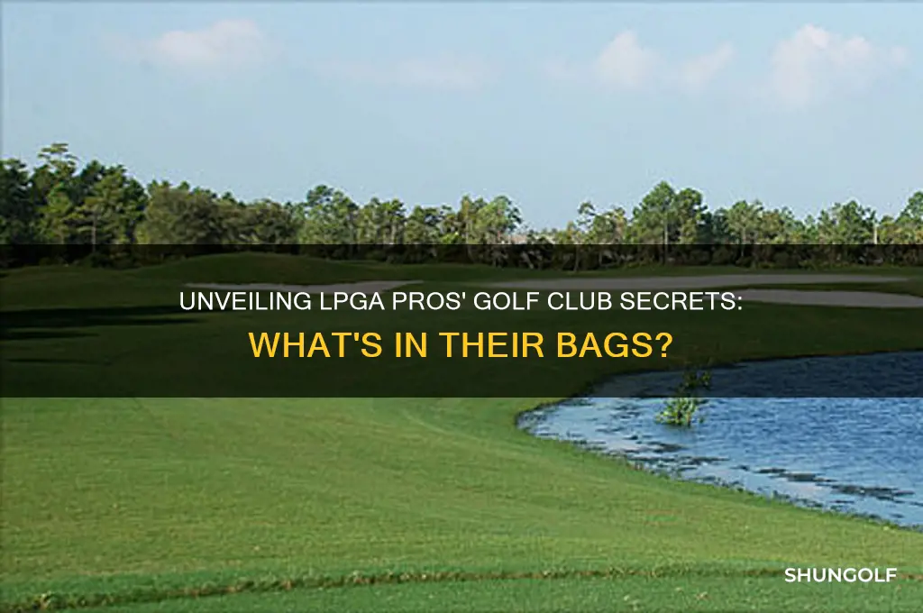 what golf clubs in lpga bag