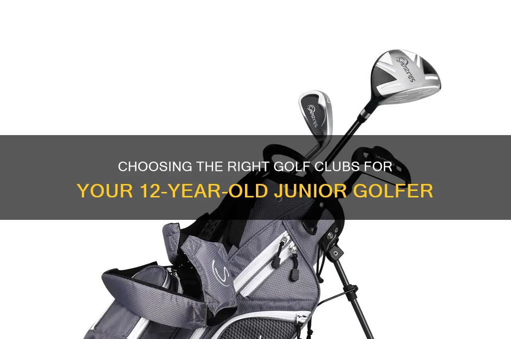 what golf clubs should a 12 year old use