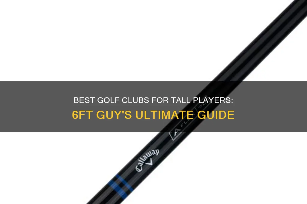 what golf clubs should a 6ft guy look at