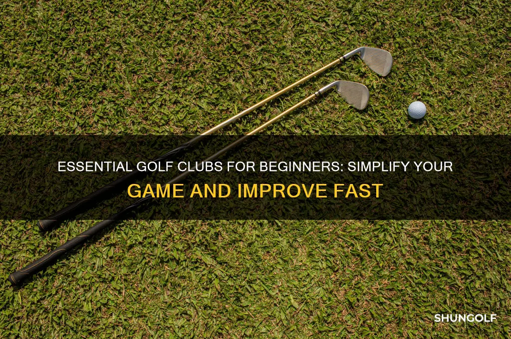 what golf clubs should beginners carry