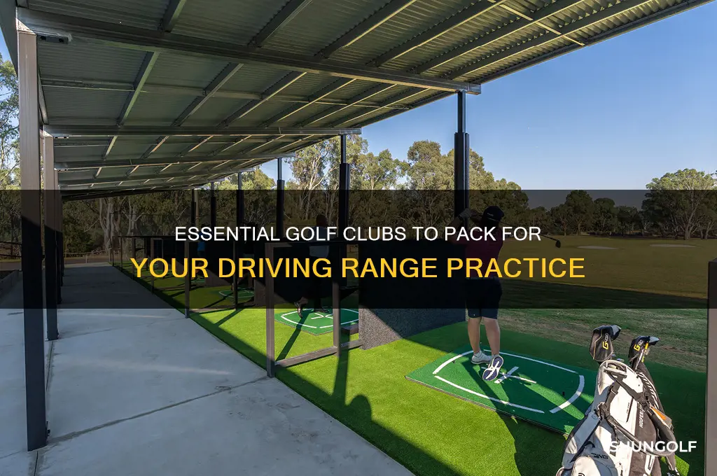 what golf clubs should i bring to the driving range