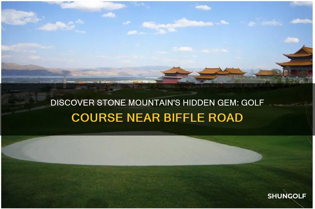 what golf coarse in stone mountain off of biffle road
