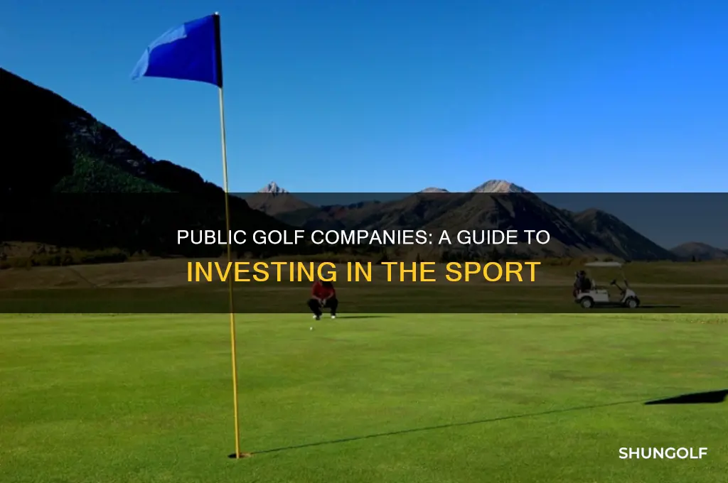 what golf companies are public