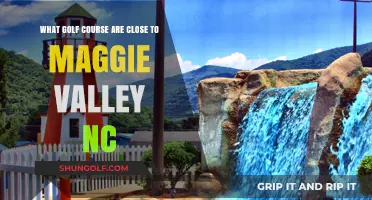 Explore Top Golf Courses Near Maggie Valley, NC: A Guide