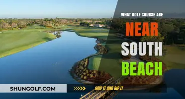 Discover Top Golf Courses Near South Beach for Your Next Round