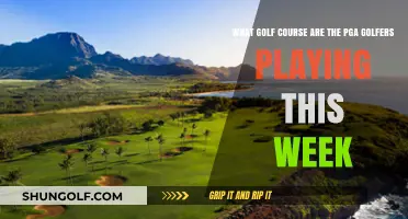 PGA Tour This Week: Which Golf Course Are Pros Playing?