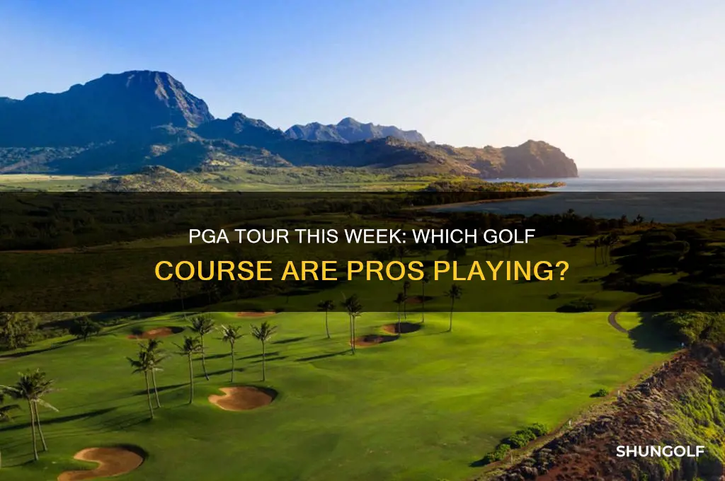 what golf course are the pga golfers playing this week