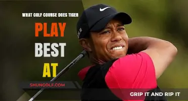 Tiger Woods' Dominance: The Golf Course Where He Excels Most