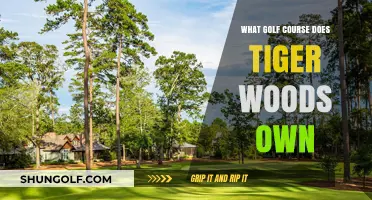 Tiger Woods' Golf Course Ownership: Unveiling His Exclusive Bluejack National