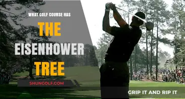 The Eisenhower Tree: Which Golf Course Hosts This Iconic Landmark?