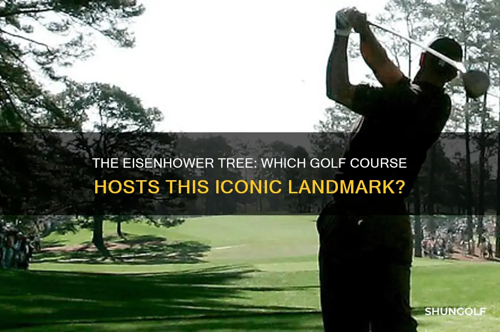 what golf course has the eisenhower tree