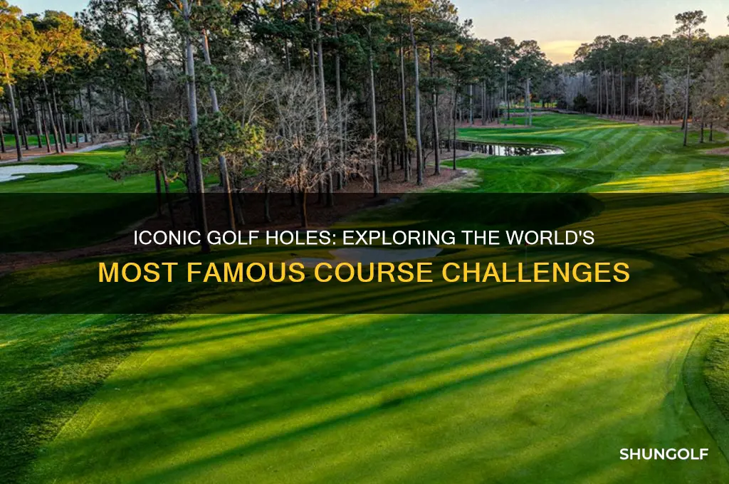 what golf course has the famous holes around the world