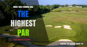 Exploring the World’s Highest Par Golf Course: A Unique Challenge