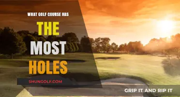 Exploring the World's Largest Golf Course: Most Holes Ever