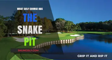 Discover the Golf Course Featuring the Infamous Snake Pit