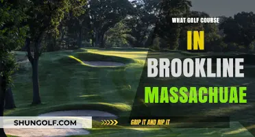 Discovering Brookline's Premier Golf Course: A Massachusetts Gem