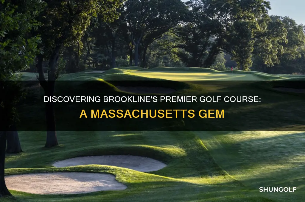 what golf course in brookline massachuaetts
