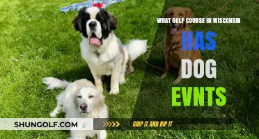 Wisconsin Golf Courses Hosting Fun Dog Events: A Guide