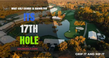 The Iconic 17th Hole: Which Golf Course Claims This Fame?