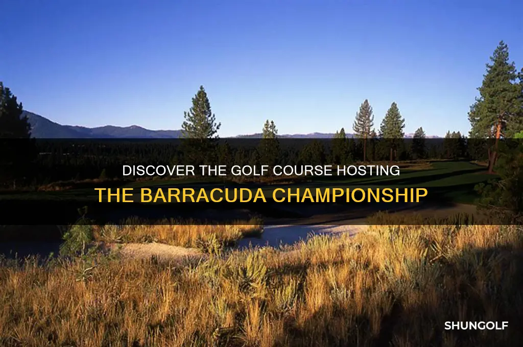 what golf course is the barracuda championship