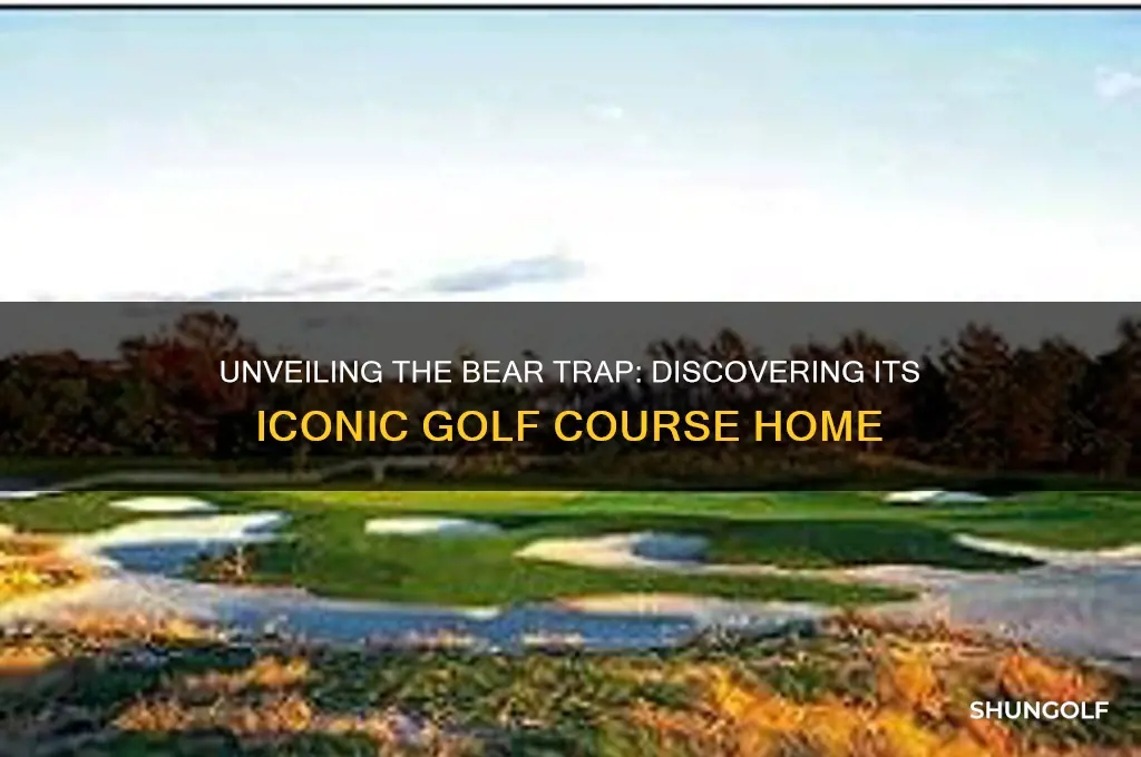 what golf course is the bear trap on