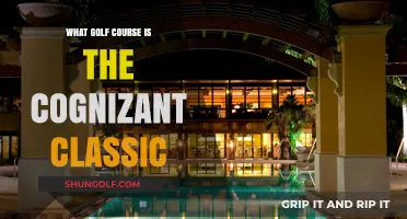 Discover the Golf Course Hosting the Cognizant Classic Event