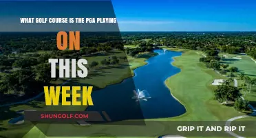 PGA Tour This Week: Discover the Golf Course Hosting the Event