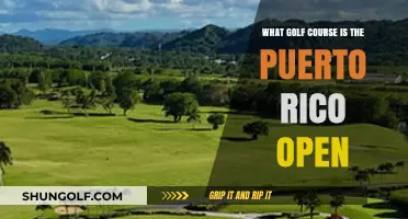 Discover the Stunning Golf Course Hosting Puerto Rico Open