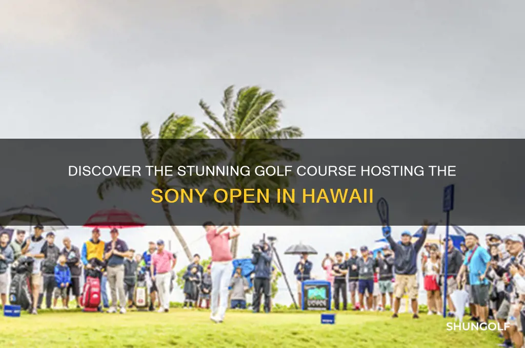 what golf course is the sony open in hawaii