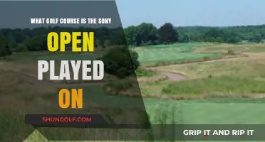 Discover the Stunning Golf Course Hosting the Sony Open