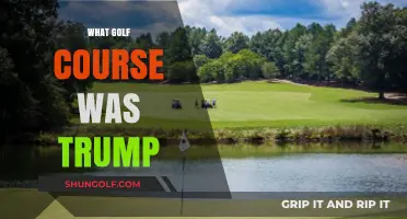 Trump's Golf Course Legacy: Which Greens Did He Own?