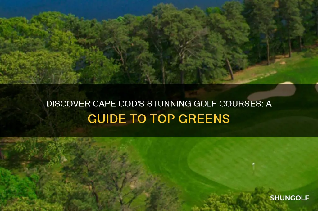 what golf courses are located on cape cod massachusetts