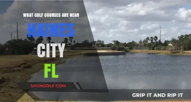 Explore Top Golf Courses Near Haines City, FL: A Guide