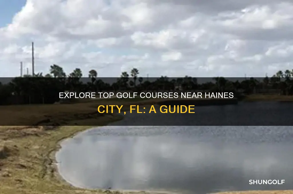 what golf courses are near haines city fl
