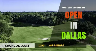 Discover Dallas: Open Golf Courses for Your Next Tee Time