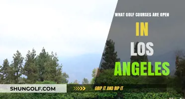 Tee Off in LA: Discover Open Golf Courses in Los Angeles