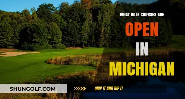 Discover Michigan's Open Golf Courses: Your Ultimate Guide to Tee Times