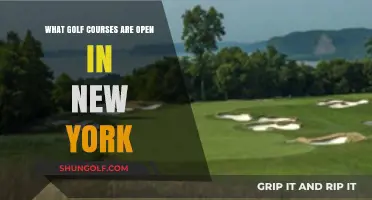 Tee Off in NYC: Open Golf Courses in New York