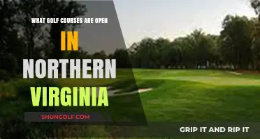 Explore Northern Virginia's Open Golf Courses: Your Ultimate Guide