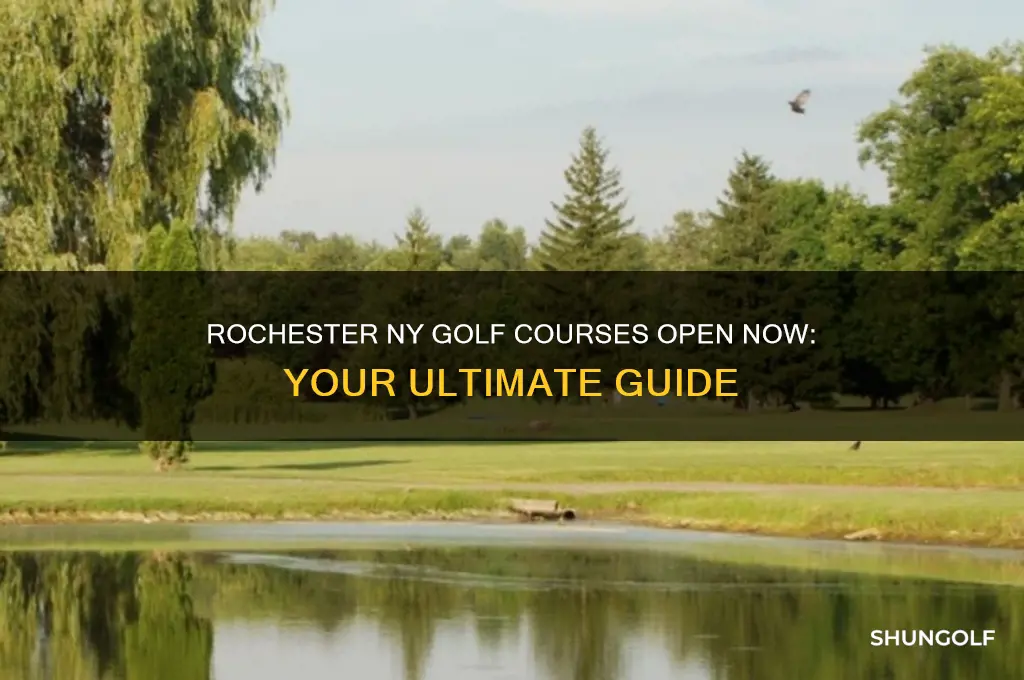 what golf courses are open in rochester ny