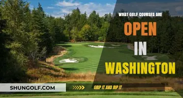 Discover Washington's Open Golf Courses: Your Ultimate Guide to Tee Times